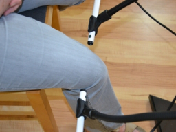 Webinar: Trotz Arthrose beweglich und mobil bleiben