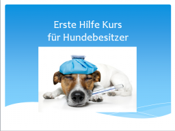 Webinar: Erste-Hilfe-Kurs für Hundebesitzer