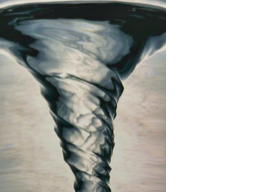 Webinar: Motivation & Wandel - Potentialentfaltung durch Spiral Dynamics