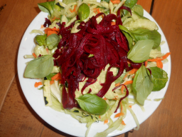 Webinar: Vegan 50 Plus