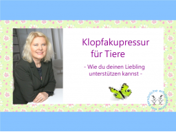 Webinar: Klopfakupressur für Tiere - Wie du deinen Liebling unterstützen kannst