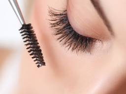Webinar: Wimpernschulung zum Lashstylisten "Teil2 - PRAXIS" (Wimpernextensions, Lash Extensions, Wimpernverlängerung)