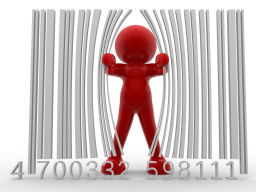 Webinar: Projektplan 1.0 Das Handbuch