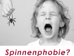 Webinar: JETZT Phobie-Panik-Angst nachhaltig lösen!