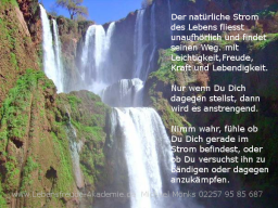 Webinar: Leichter leben und dein wahres Ziel erreichen, mit dem natürlichen Fluss des Lebens in das Jahr 2014 starten.