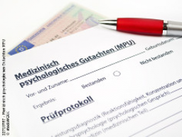 Webinar: MPU - Einführung