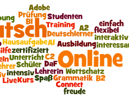 Webinar: Live Lehrer online