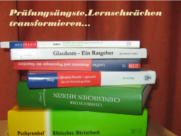 Webinar: Einzelsitzung-*Prüfungsängste, Lernschwächen transformieren und...
