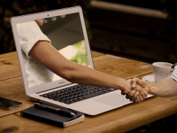 Webinar: Online-Business-Consulting