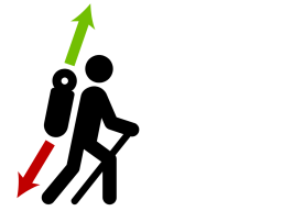 Webinar: Was bremst mich denn da?