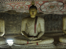 Webinar: Sri Lanka - was Sie schon immer wissen wollten!