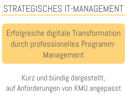 Webinar: Erfolgreiche Transformation durch professionelles Programm-Management
