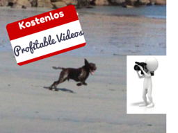Webinar: Erfolgreiches Video-Marketing mit Youtube