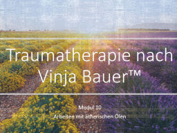 Webinar: Traumatherapie nach Vinja Bauer (TM) Block 2