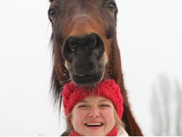 Webinar: Info: Emotionen lesen - Pferde besser verstehen