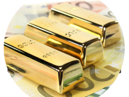 Webinar: "Wer Verstand hat, kauft Gold"