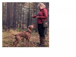 Webinar: Belohnungen & Beschäftigung für jagdlich motivierte Hunde