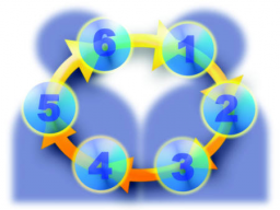 Webinar: Beginner: Die 6-stufige Arbeitsweise des Versicherungsmakler und Versicherungsvermittler