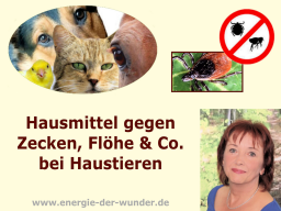 Webinar: Hausmittel gegen Zecken, Flöhe & Co bei Haustieren