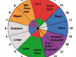 Webinar: Die Organuhr - Leben im Takt der inneren Uhr