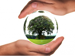 Webinar: Warum Upcycling? Das Konzept von morgen?!