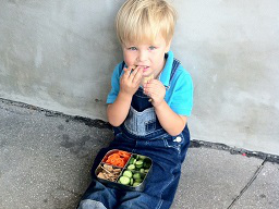 Webinar: Kinder und das liebe Essen