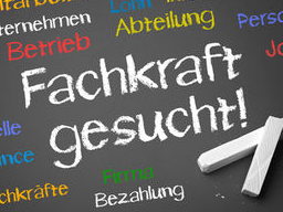 Webinar: Ausbildung zum psychologischen Management-Trainer
