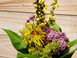 Webinar: Das Jahreskreisfest der Schnitterin - LUGHNASADH - KRÄUTERWEIHE - MARIA HIMMELFAHRT