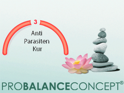 Webinar: Basiswissen Stoffwechsel und Entgiftung - 3.Schritt: Anti-Parasiten-Kur