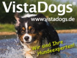 Webinar: Offene Fragestunde