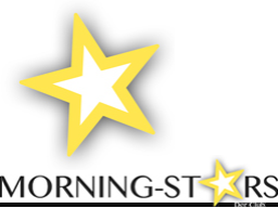 Webinar: Business-Impulse für Morning-Stars