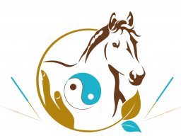 Webinar: Infowebinar zur Fachausbildung "Traditionelle Chinesische Medizin für Tiere"