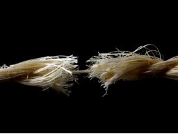 Webinar: mental stark mit Stress umgehen