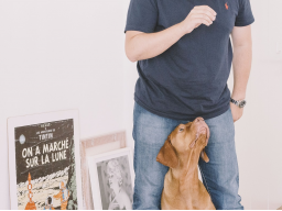 Webinar: Signale und Signalkontrolle