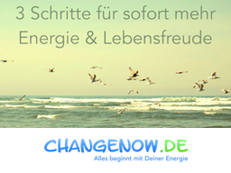 Webinar: 3 Schritte für sofort mehr Energie und Lebensfreude