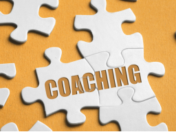 Webinar: EINZELBERATUNG - persönliches EinzelCoaching