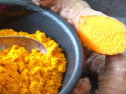 Webinar: 2 EINZELTERMINE - Ayurveda positiv für sich nutzen (incl. Booklet)