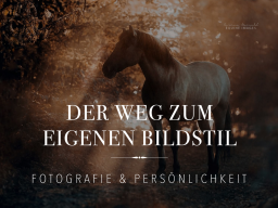 Webinar: Der Weg zum eigenen Bildstil