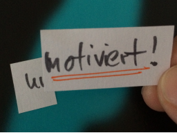 Webinar: Selbstmotivation