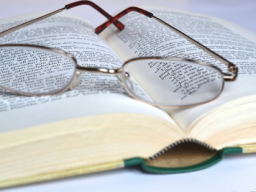 Webinar: Schnell Lesen - mehr Verstehen: das geht!