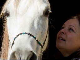 Webinar: Info- & Erlebnisabend: HorseTalk - Die Welt mit den Sinnen der Pferde wahrnehmen