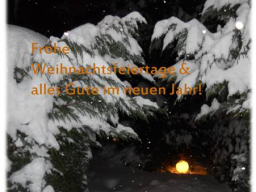 Webinar: Schau ins Foto und erkenne deine Lösung-Einzelcoaching