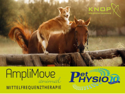 Webinar: Amplimove Grundlagen