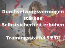 Webinar: S!E!D! - Selbstsicher! Entschlossen! Durchsetzungsstark!