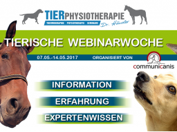 Webinar: Schmerzen beim Tier verstehen (Dr. Kirsten Häusler)