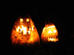 Webinar: DAS JAHRESKREISFEST SAMHAIN - Fest der Ahnen und des Todes
