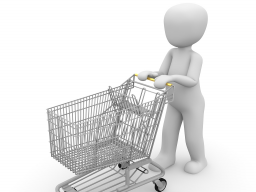 Webinar: Dein eigener Onlineshop! - kostenfrei!