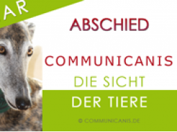 Webinar: Abschied aus tierischer Sicht