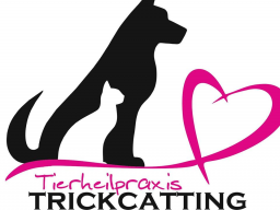 Webinar: Einblicke in meine Praxis