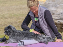 Webinar: Vier Pfoten Asanas - Schnupperwebinar